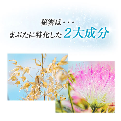 楽天市場】【10%OFFクーポン配布中】[2本セット] まぶた 引き上げ