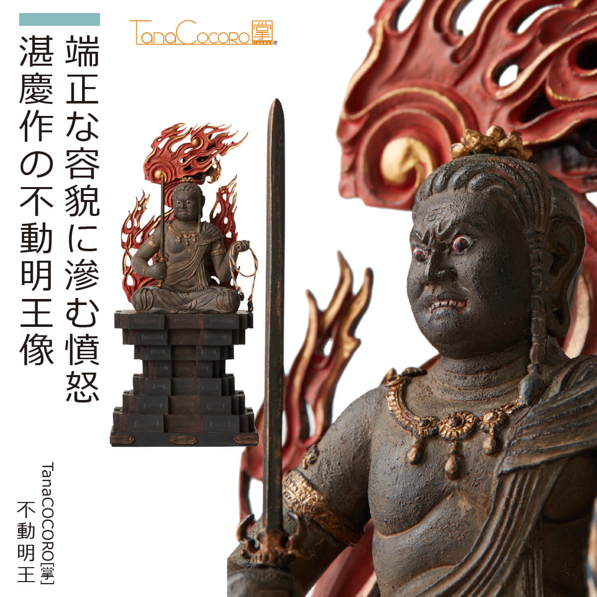 楽天市場】【即納！安心のメーカー直営、直送】 TanaCOCORO[掌]『不動