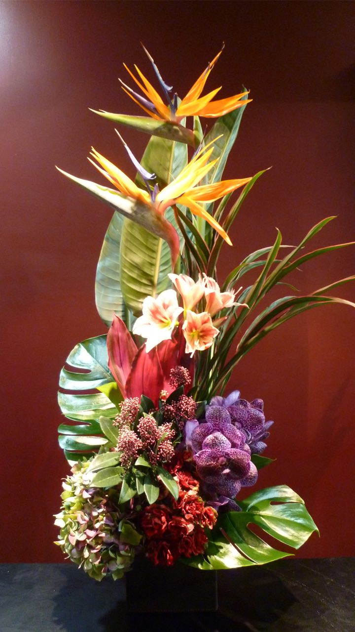 楽天市場】【アレンジメント】ストレチア バンダ アジサイ モンステラ