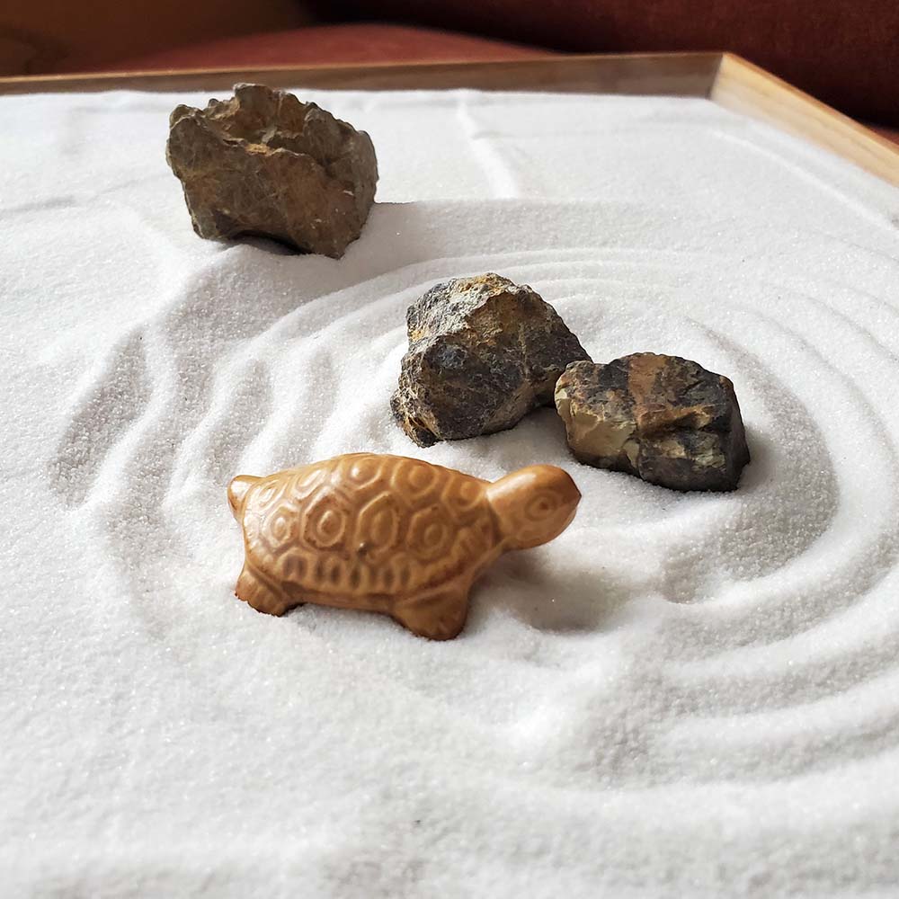 楽天市場】ミニチュア 置物 飾り フィギュア 亀（かめ） 中 : みどり屋