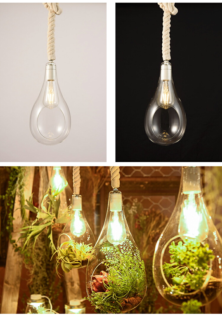 楽天市場】【レビューでプレゼント】スワン電器 BOTANIC HANGING LIGHT