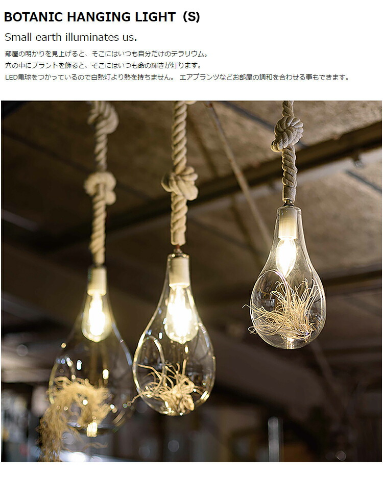 楽天市場】スワン電器 Another garden BOTANIC HANGING LIGHT