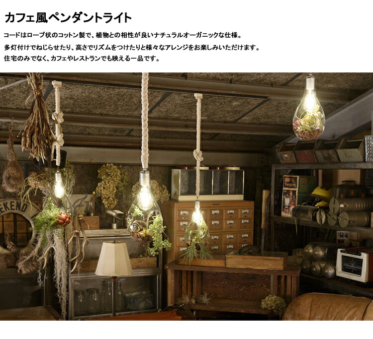 楽天市場】スワン電器 Another garden BOTANIC HANGING LIGHT