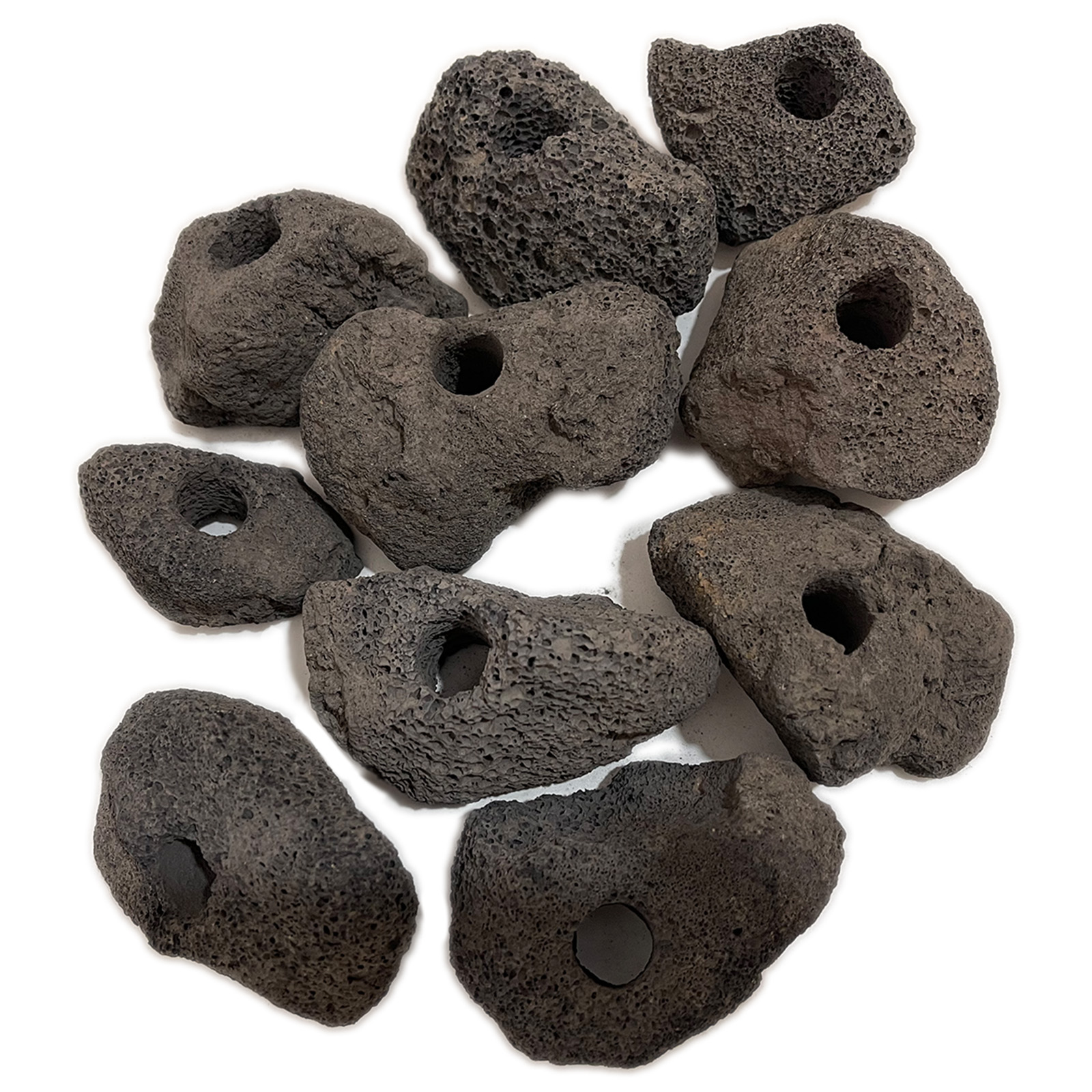 楽天市場】水槽 レイアウト 石 溶岩石 穴あき 水草固定用 SN-299-AY