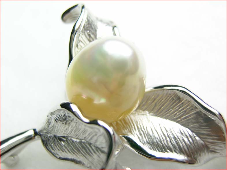 楽天市場】シルバー南洋ケシパール ブローチ 10P16Mar09 : 伊勢志摩