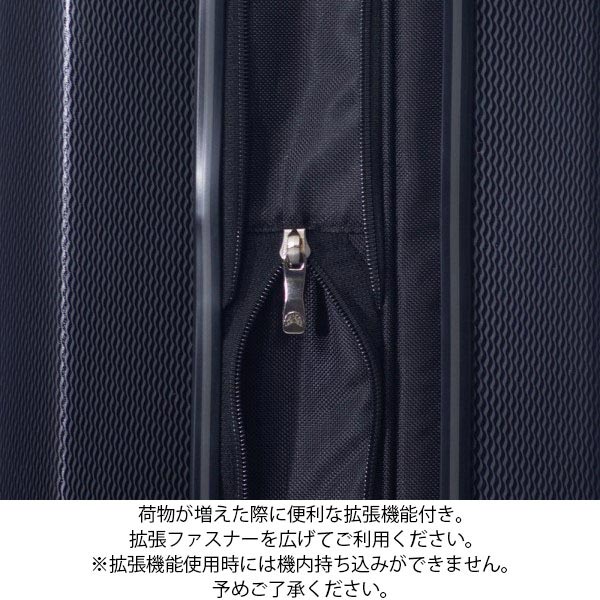 楽天市場】【各種利用でポイント最大27倍！ 】 アジアラゲージ アジア