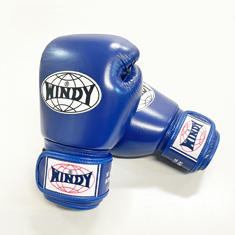 楽天市場】【日本総代理店】ランキング1位獲得 WINDY(ウィンディ) BGVH