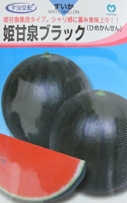 楽天市場】小玉西瓜種 宇治交配 姫甘泉ブラックすいか 丸種株式会社の