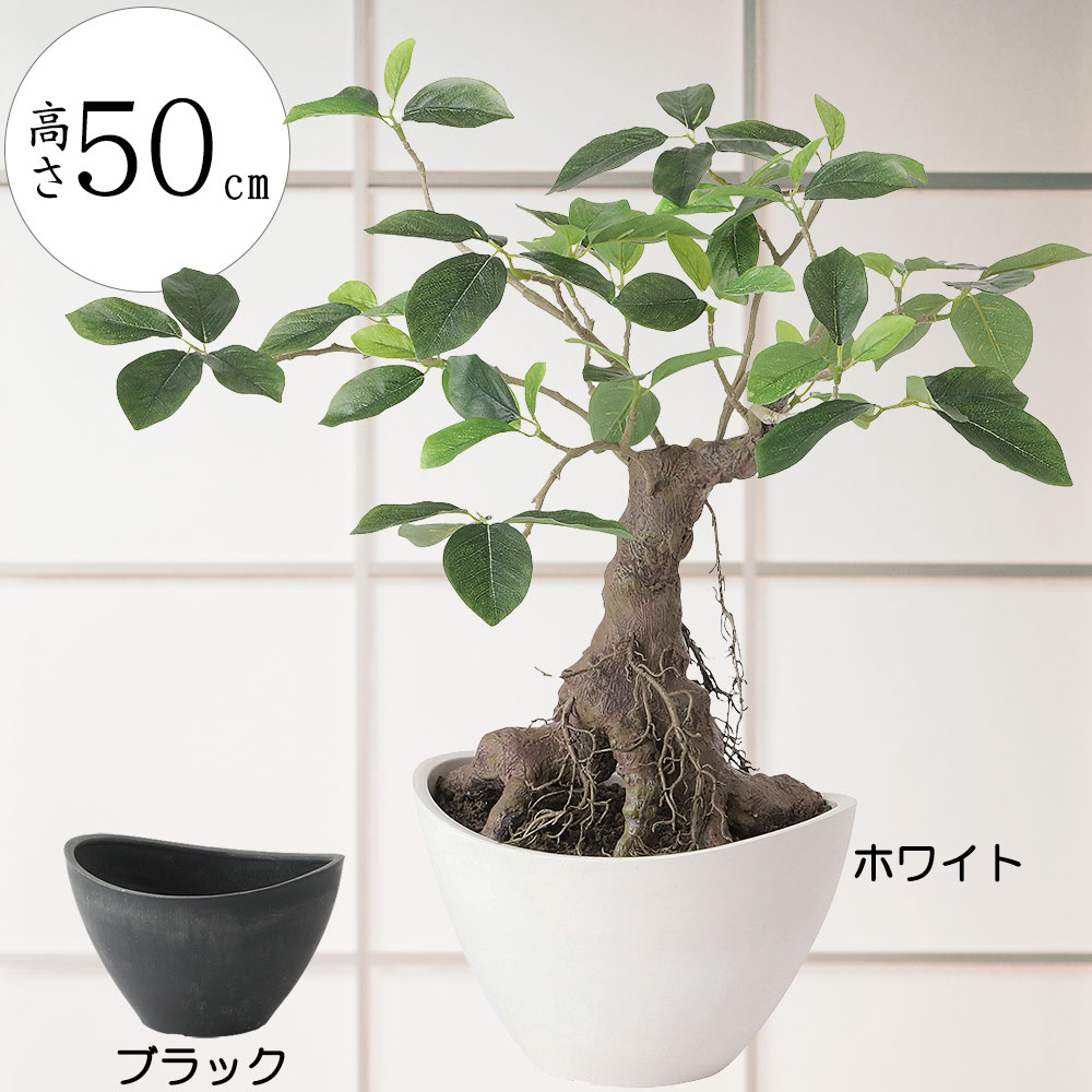 楽天市場】盆栽 ガジュマル カジュマル フェイクグリーン おしゃれ