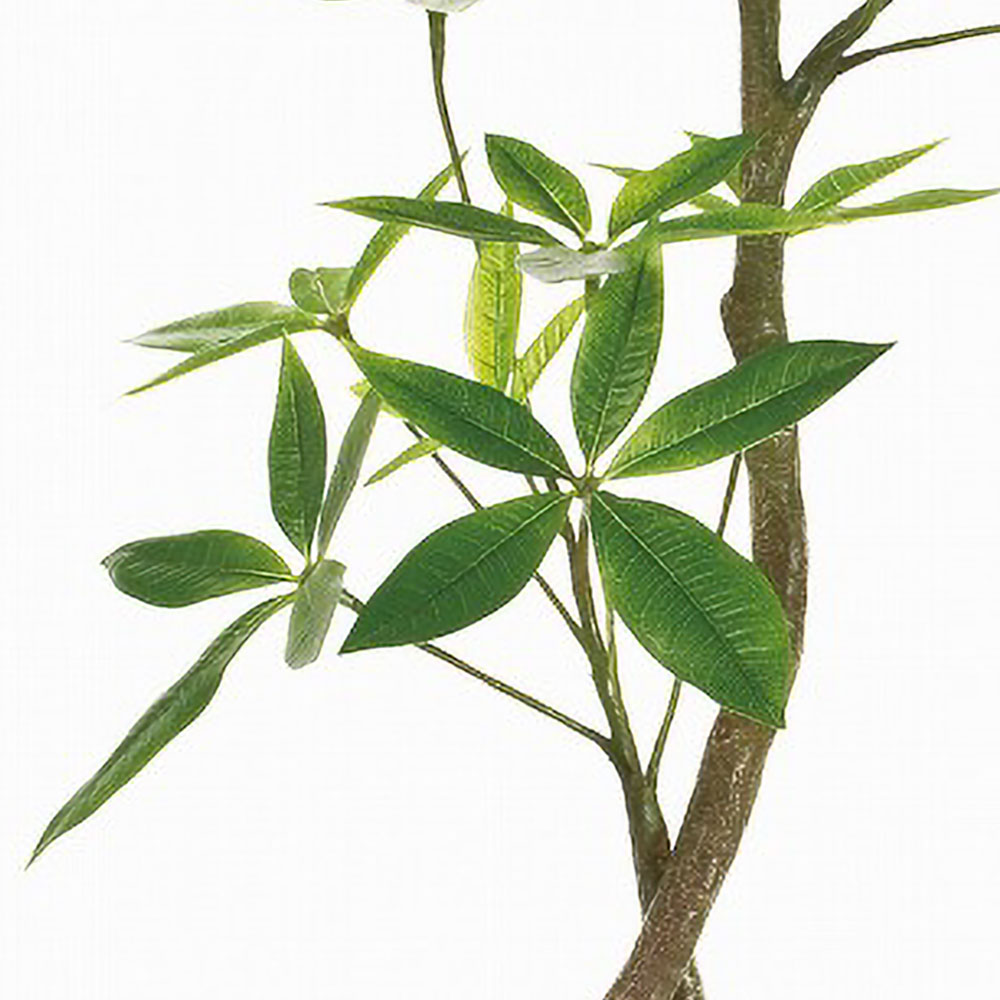 楽天市場】パキラ フェイクグリーン 人気 おしゃれ インテリアグリーン