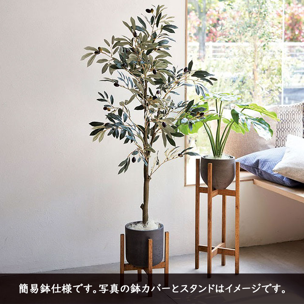 楽天市場】オリーブの木 フェイクグリーン おしゃれ 人気 観葉植物