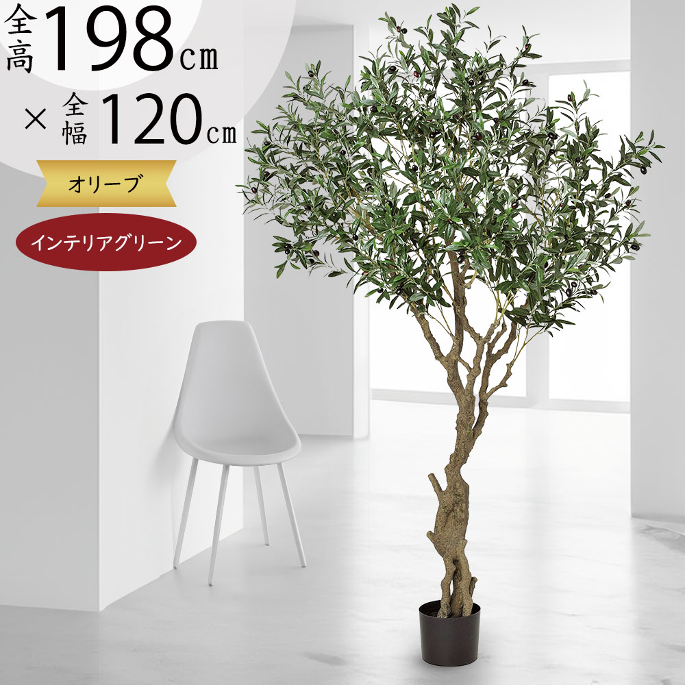楽天市場】オリーブの木 大型 フェイクグリーン おしゃれ 人気 観葉