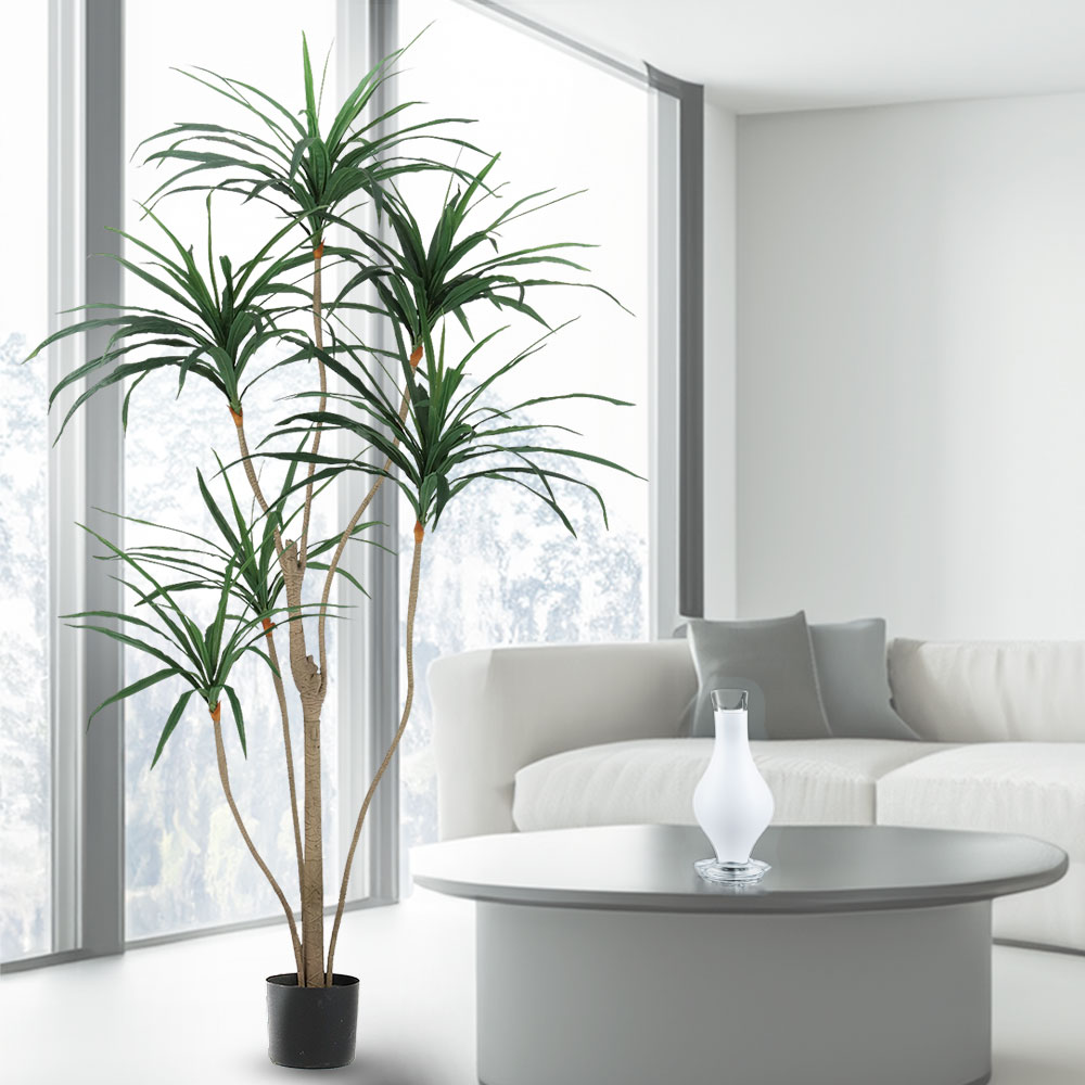 楽天市場】ドラセナ コンシンネ 大型 フェイクグリーン おしゃれ 人気