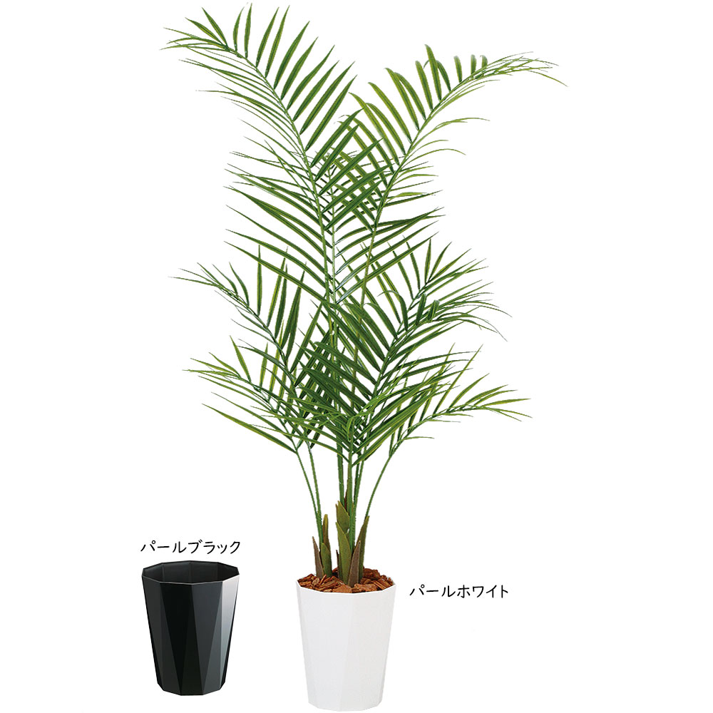 楽天市場】フェイクグリーン アレカヤシ インテリアグリーン おしゃれ