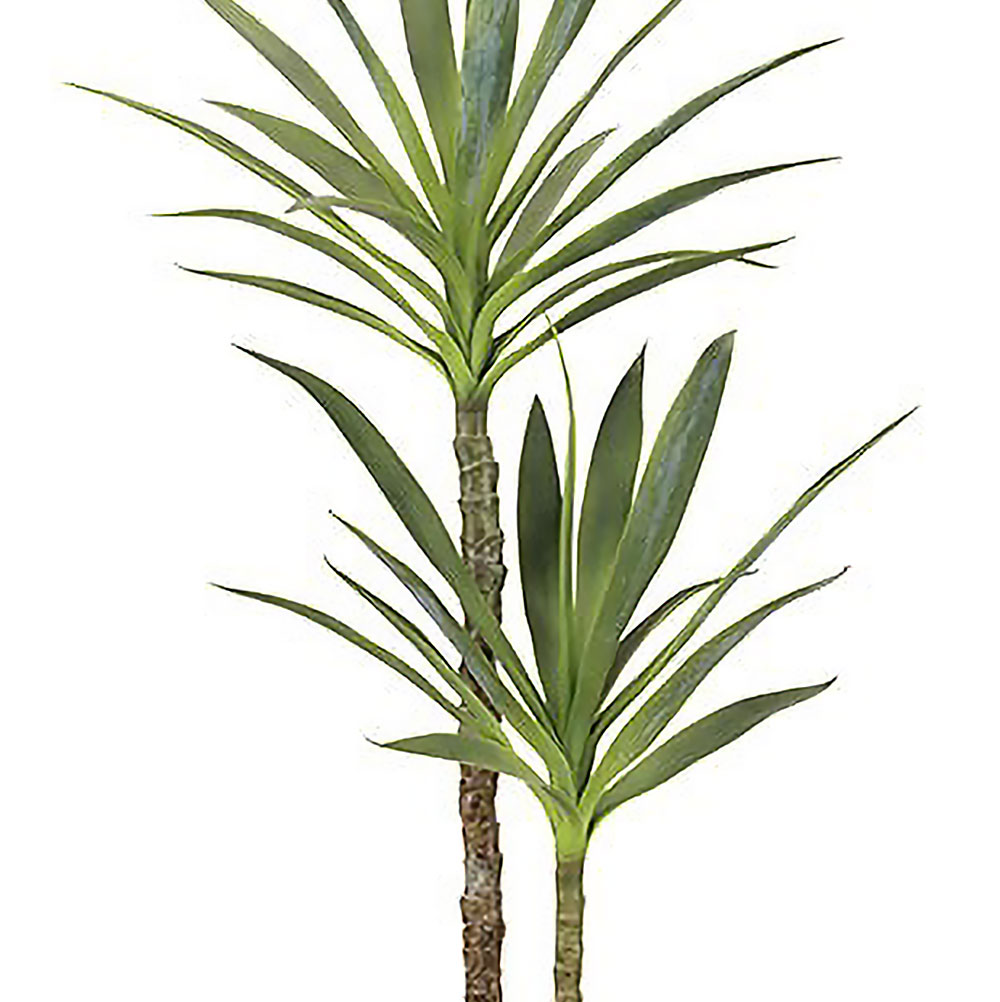 楽天市場】フェイクグリーン 屋外用 ドラセナ ユッカ 青年の木 幸福の