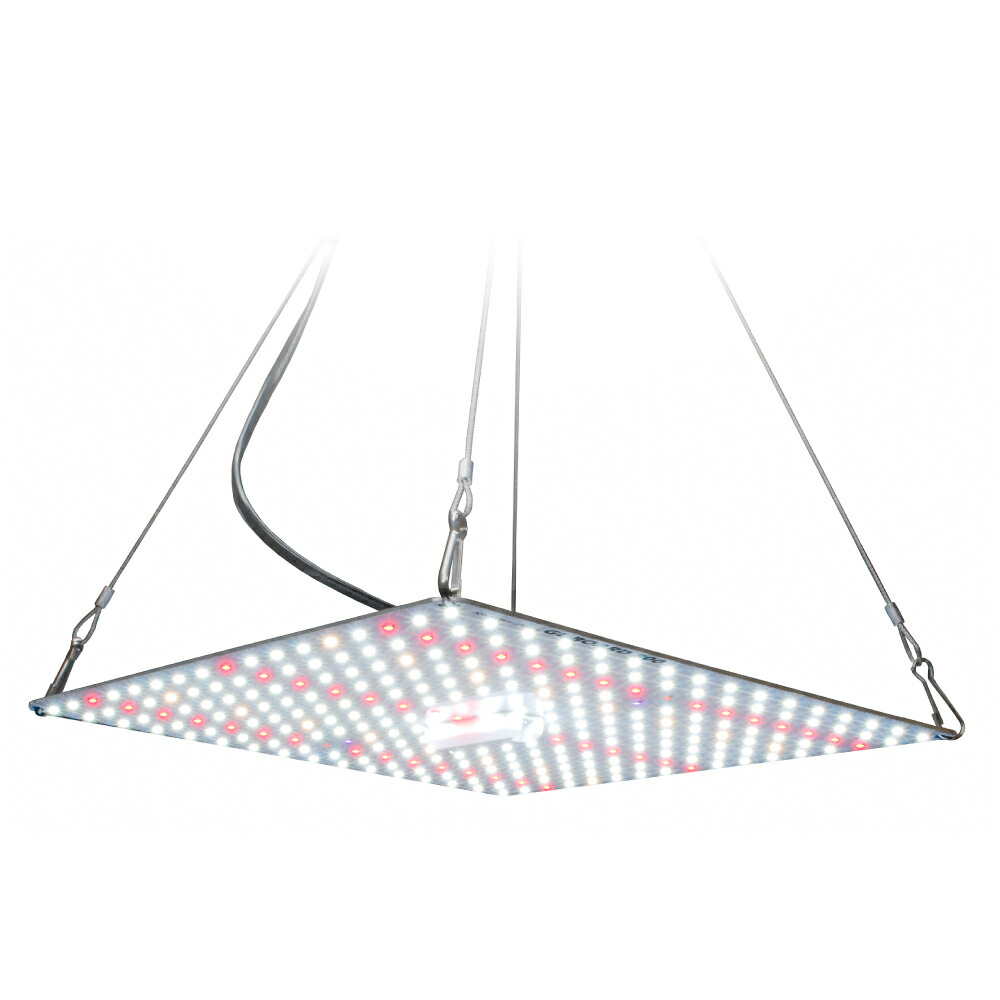 楽天市場】HaruDesign 植物育成ライト GL-BOARD800 育成用高効率