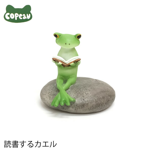 楽天市場】【新商品】DK206 Copeau コポー 読書するカエル カエル 蛙