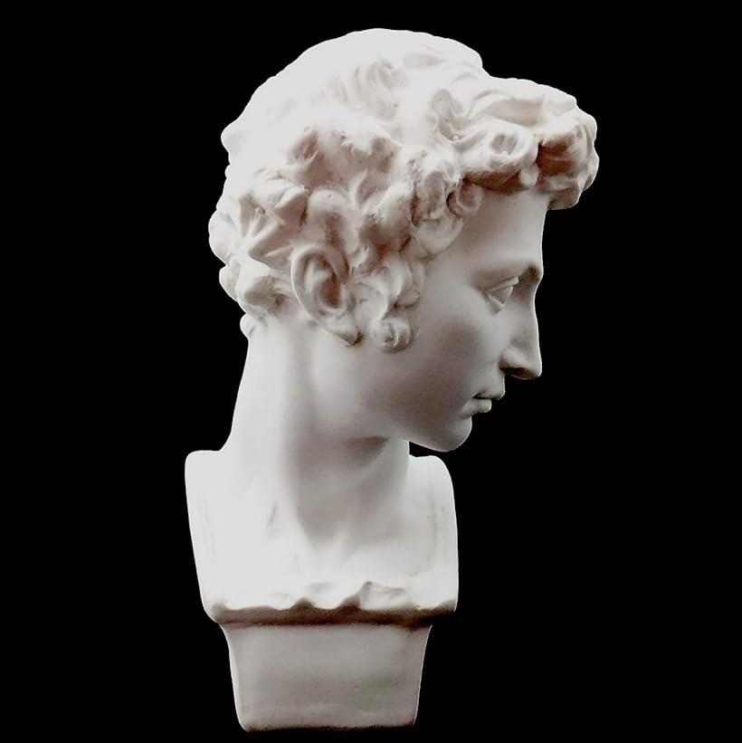 メディチ石膏像 Yahoo!オークション - 石膏像 メディチ