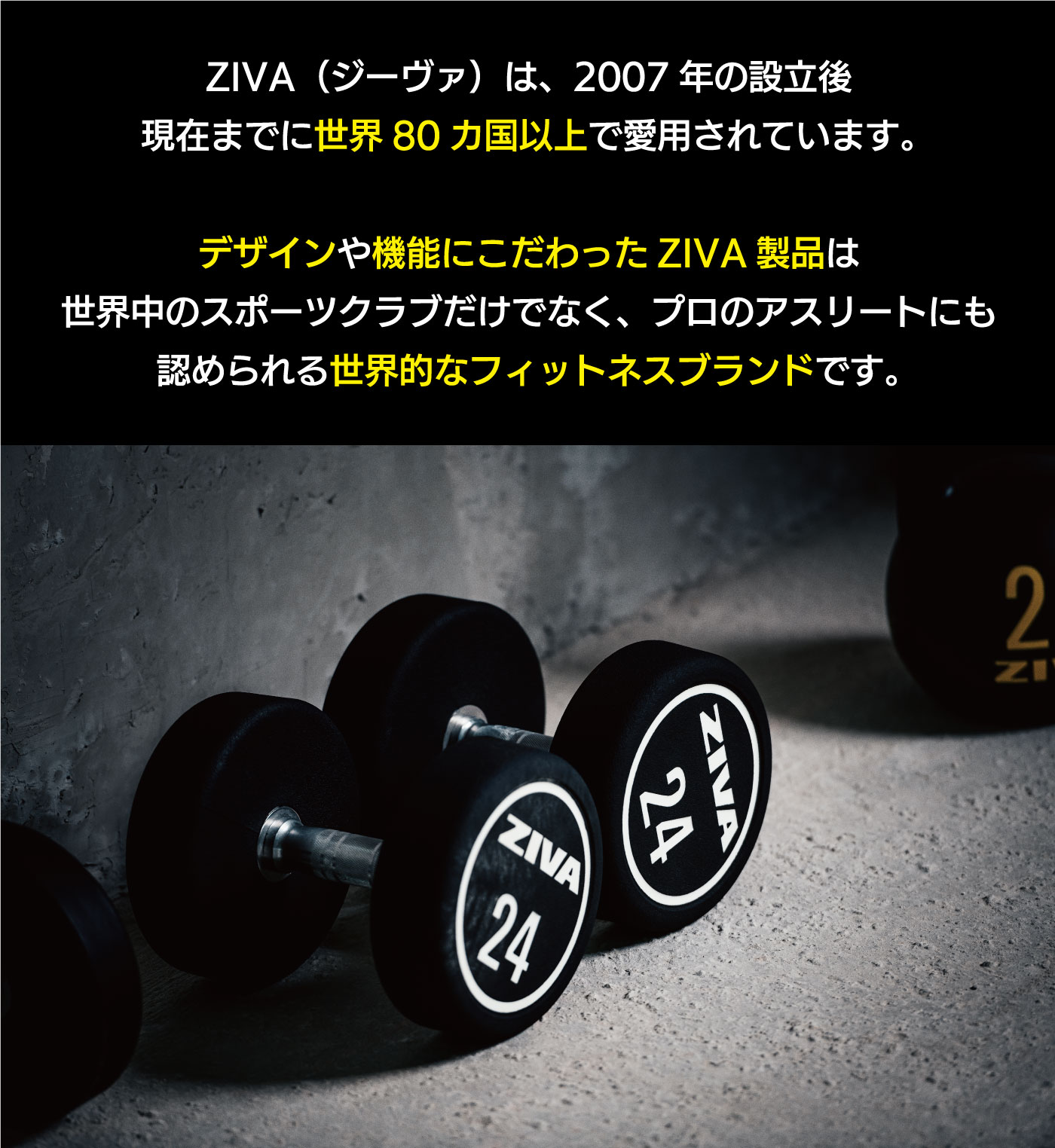 楽天市場】【業務用】オリンピックプレート 14枚組 1.25kg 2.5kg 5kg