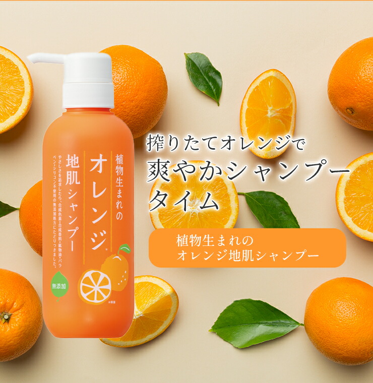 楽天市場】□最大2000円クーポン有□【セット】植物生まれのオレンジ