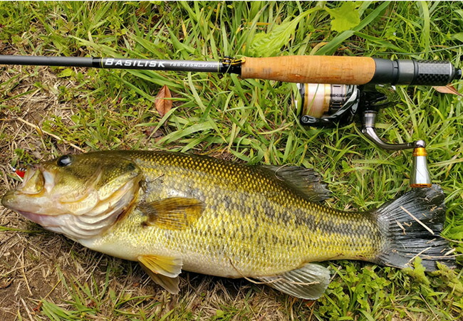 楽天市場】【受注生産】 BASILISK バジリスク TSS-625MLXF-ti バス