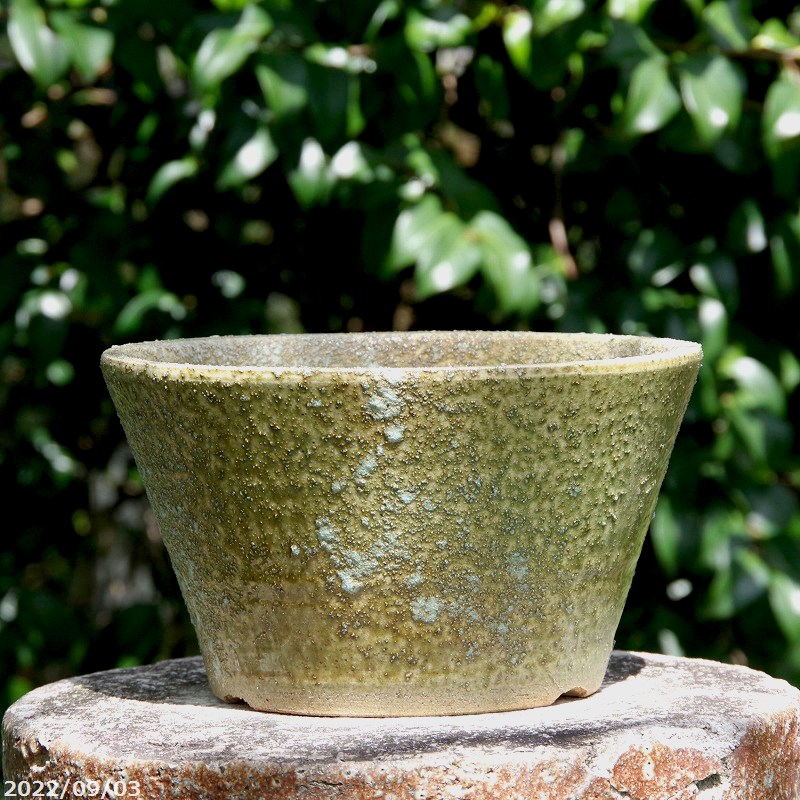 鉢 盆栽鉢 8号」の人気商品一覧 | 安い商品を通販サイトから探す