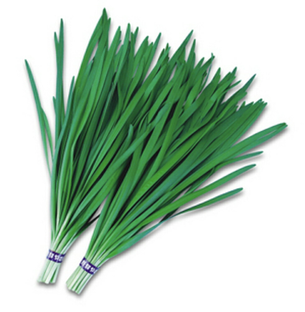 楽天市場】タフボーイ 5000粒（コート2L） 韮 ニラ にら ヤエ育成 【八