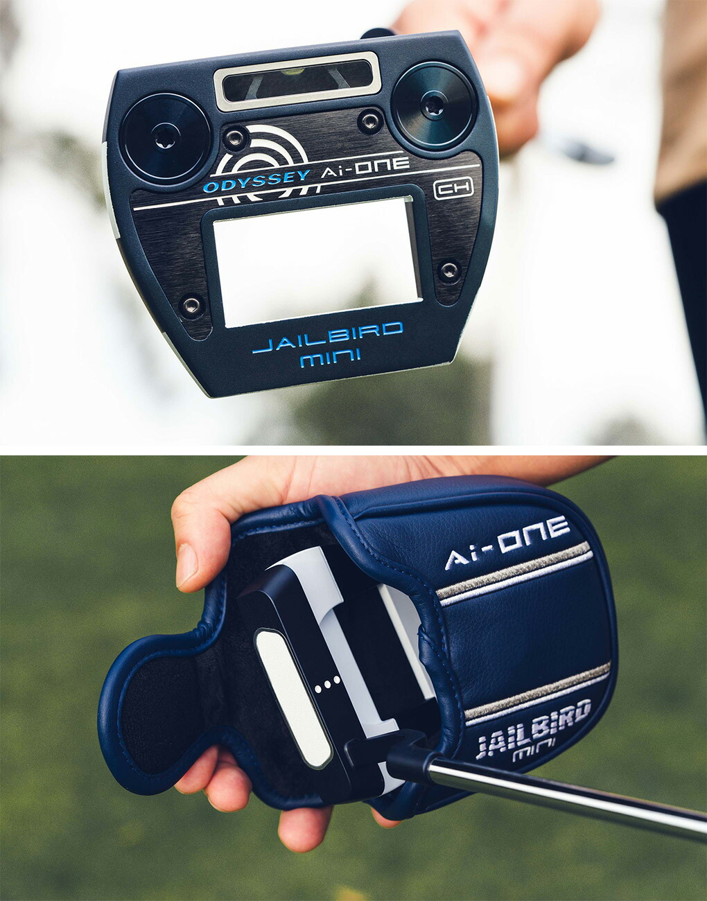 楽天市場】オデッセイ Ai-ONE ジェイルバードミニ パター クランク