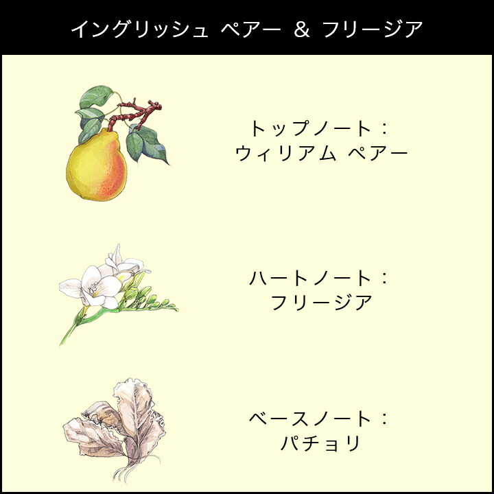 楽天市場】【ポイント20倍 19日20:00〜25日23:59】公式｜ジョー