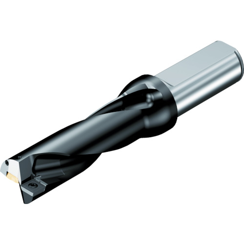 楽天市場】【ポイント10倍】サンドビック(株)コロマントカンパニー