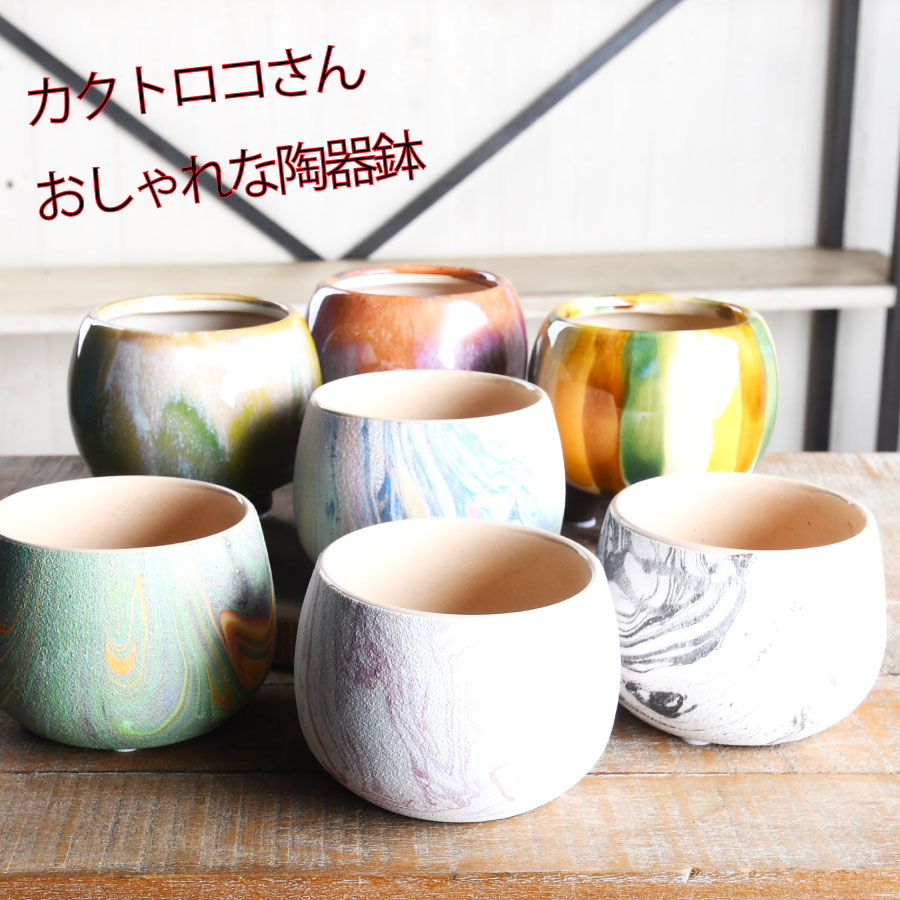 楽天市場】カクトロコ 陶器鉢 選べる2種類 全7色 おしゃれなミニサイズ