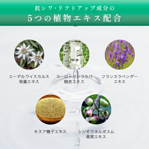 楽天市場】KATAN CICA ダーマヒットセラム10 30g シカ ニードル