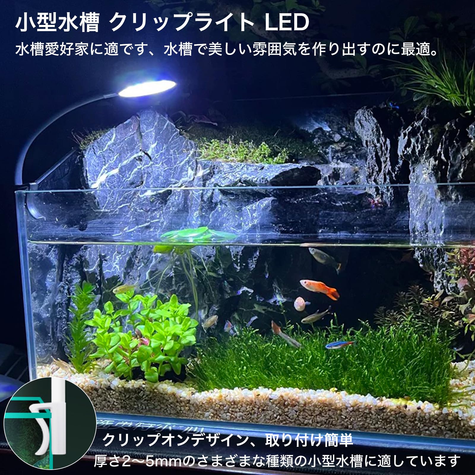 楽天市場】DAREORY 水槽 ライト 小型 アクアリウム ライト 14 四色