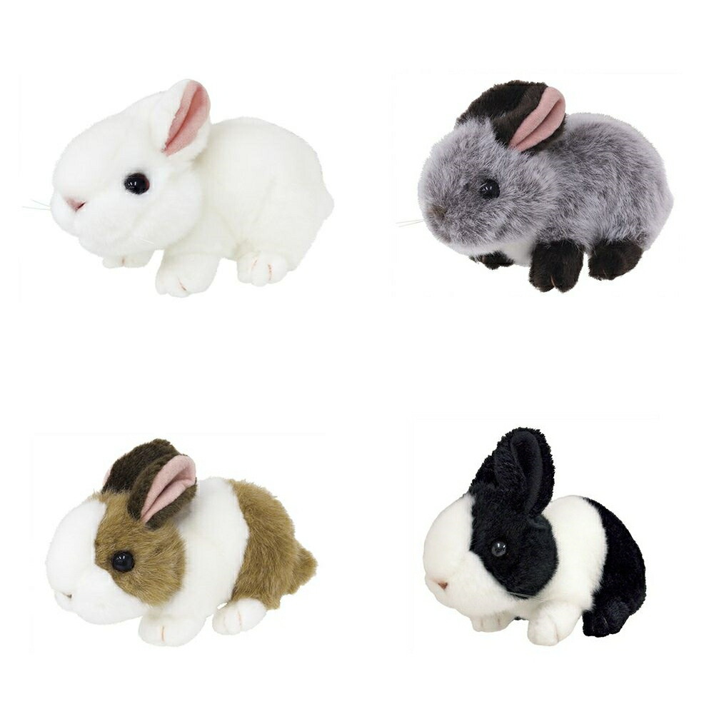 楽天市場】ぬいぐるみ うさぎ ウサギ 雑貨 色が選べる ギフト 誕生日