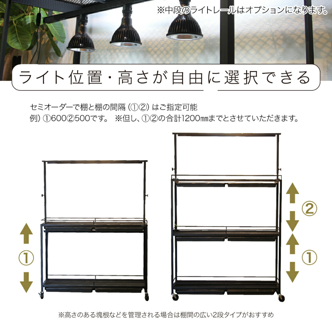 楽天市場】水受けトレー付植物棚 ガベラック 植物棚 アガベ 塊根植物