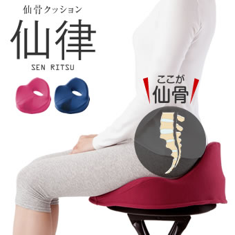 楽天市場】猫背矯正サポート 仙骨 クッション 仙律 イス 姿勢矯正