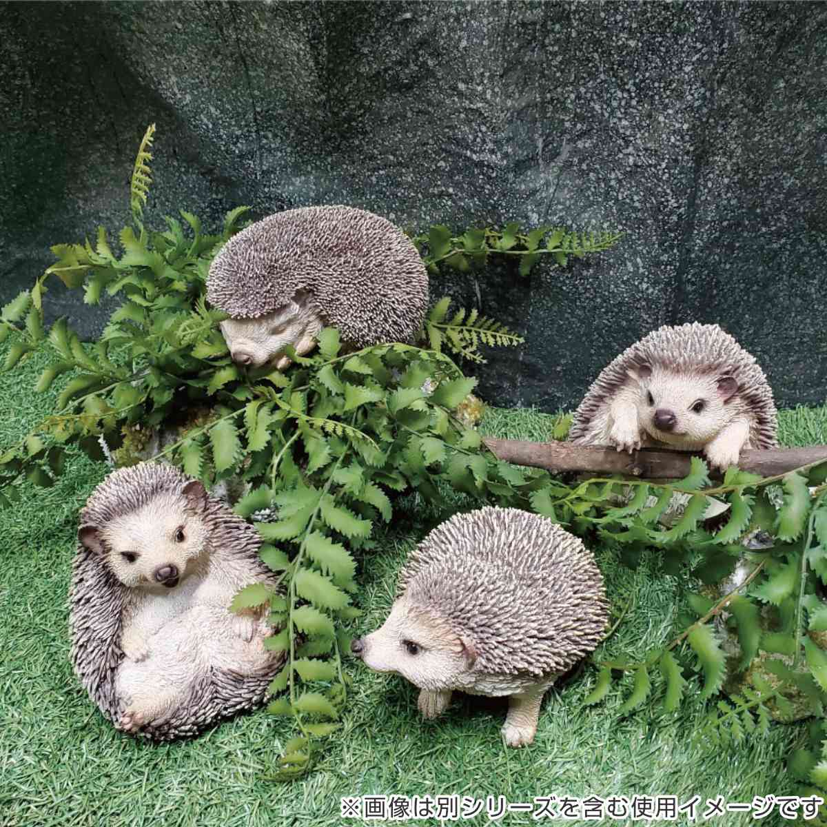 楽天市場】オーナメント ハリネズミ おやすみ （ 置物 ガーデン