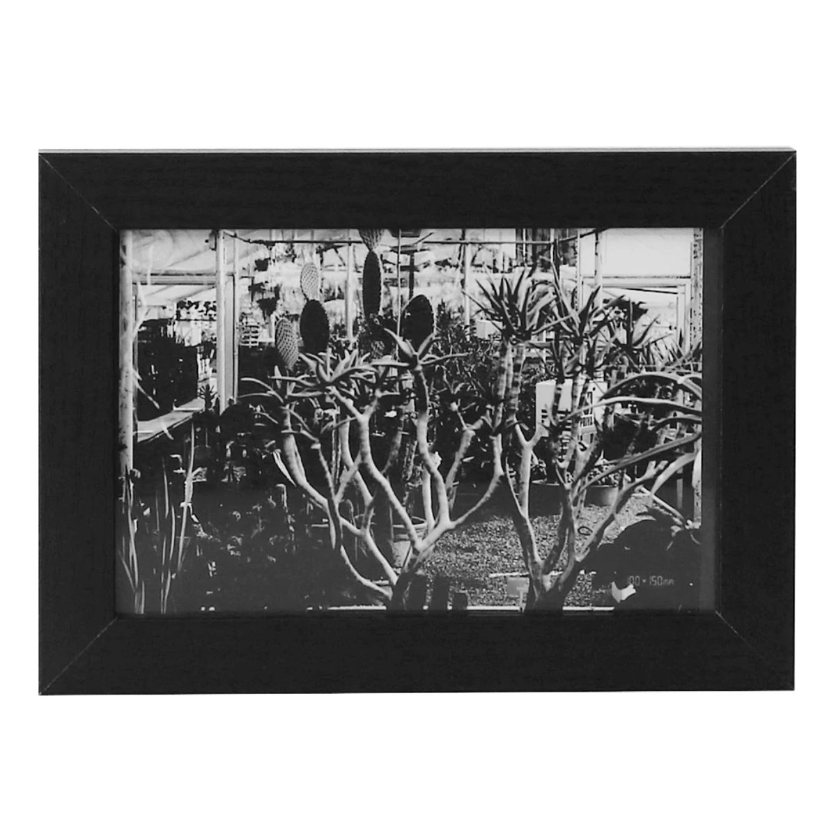 楽天市場】フォトフレーム FRA-01 壁掛け （ フォトスタンド 7個セット