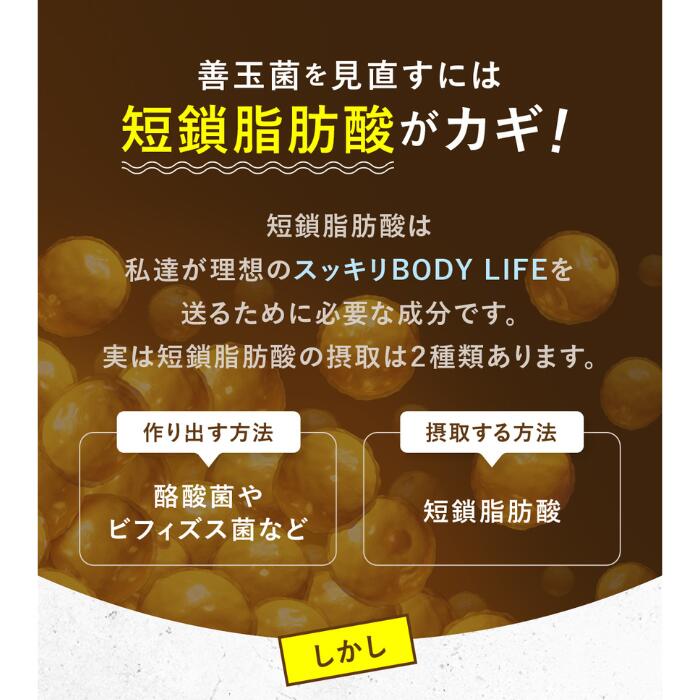 楽天市場】【公式shopは当店のみ】 腸活 菌活 Biofull ビオフル 体内