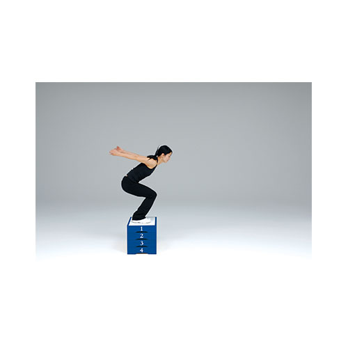 楽天市場】【法人限定】 ジャンプ台 トーエイライト ボックスジャンプ