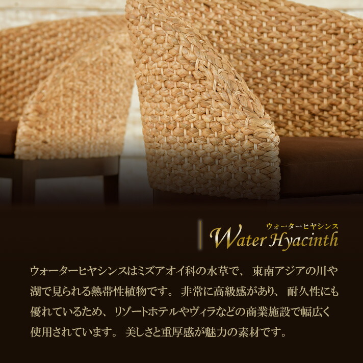 楽天市場】【最大1万円OFFクーポン】ウォーターヒヤシンス ダイニング