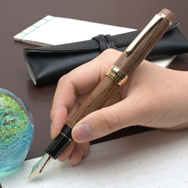 楽天市場】パイロット 万年筆 カスタム槐 ペンケースつき FKV-5MK-ME