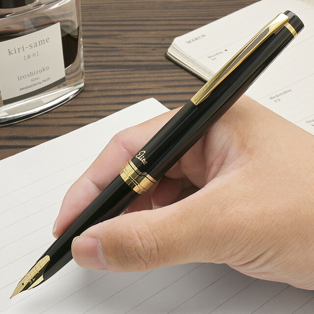 楽天市場】【2/20は最大P5倍！】 パイロット 万年筆 エリート95S FES