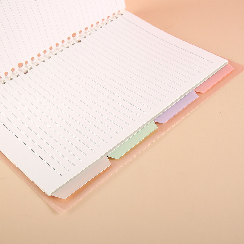 楽天市場】送料無料 インデックスシート インデックス バインダー