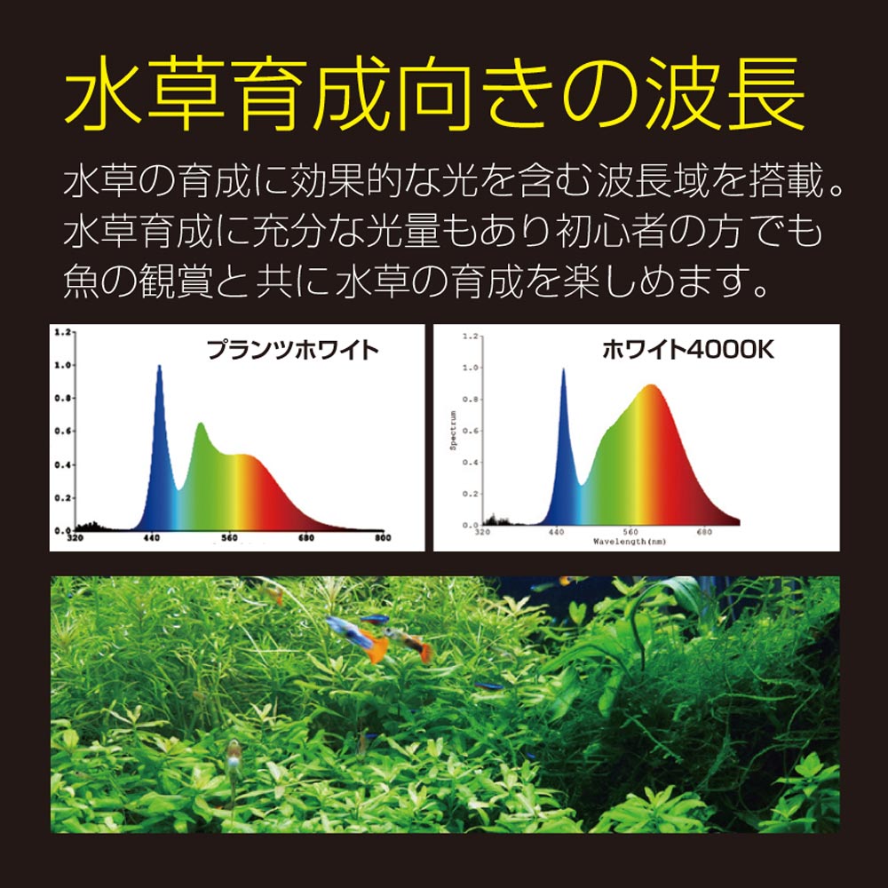 楽天市場】【全国送料無料】ゼンスイ ヴィータ 900 Free Color LED