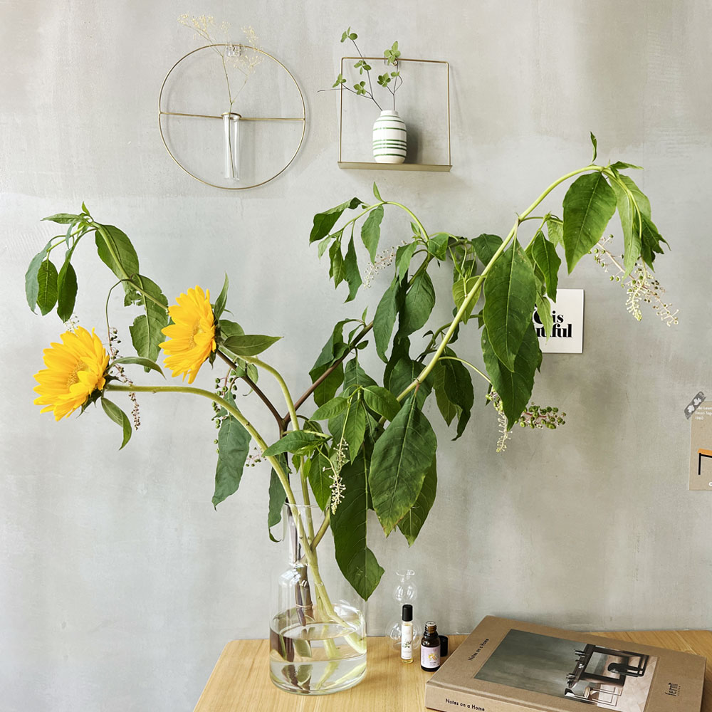 楽天市場】Horn Please リューズガラス フラワーベース 26cm ( 直径