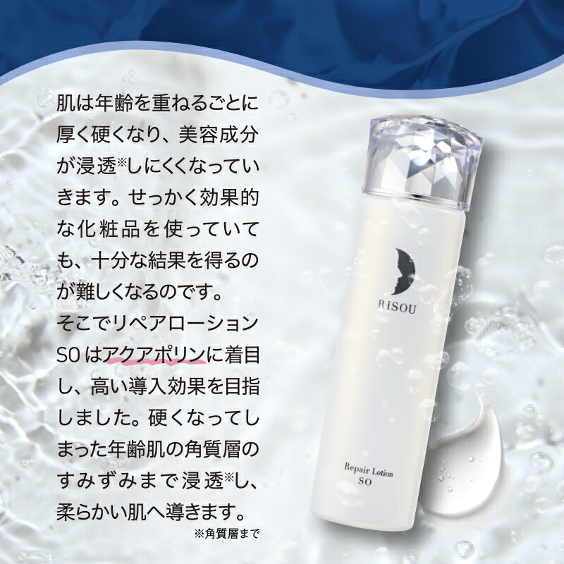 楽天市場】【15％OFF×P5倍 マラソン限定】【リソウ公式】リペア