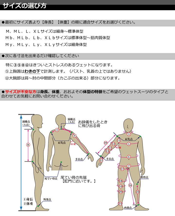 楽天市場】シーガル【カスタムオーダー】半袖 メンズ レディース