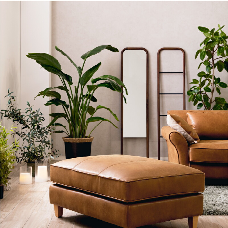 楽天市場】【公式】全身鏡 姿見 160cm 幅55 スタンドミラー 壁掛け