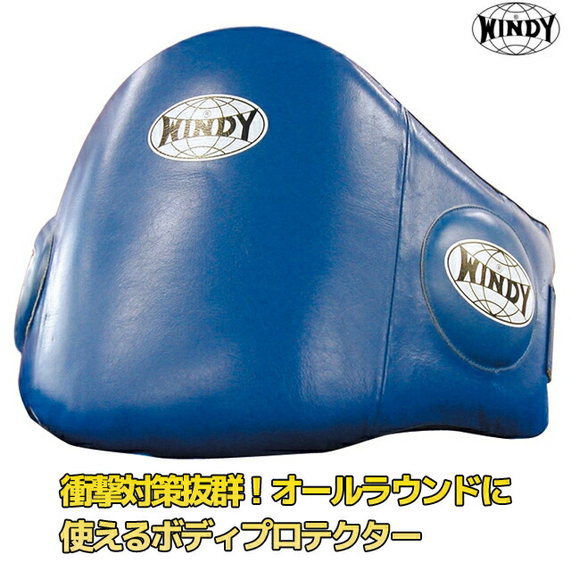 楽天市場】windy プロテクターの通販
